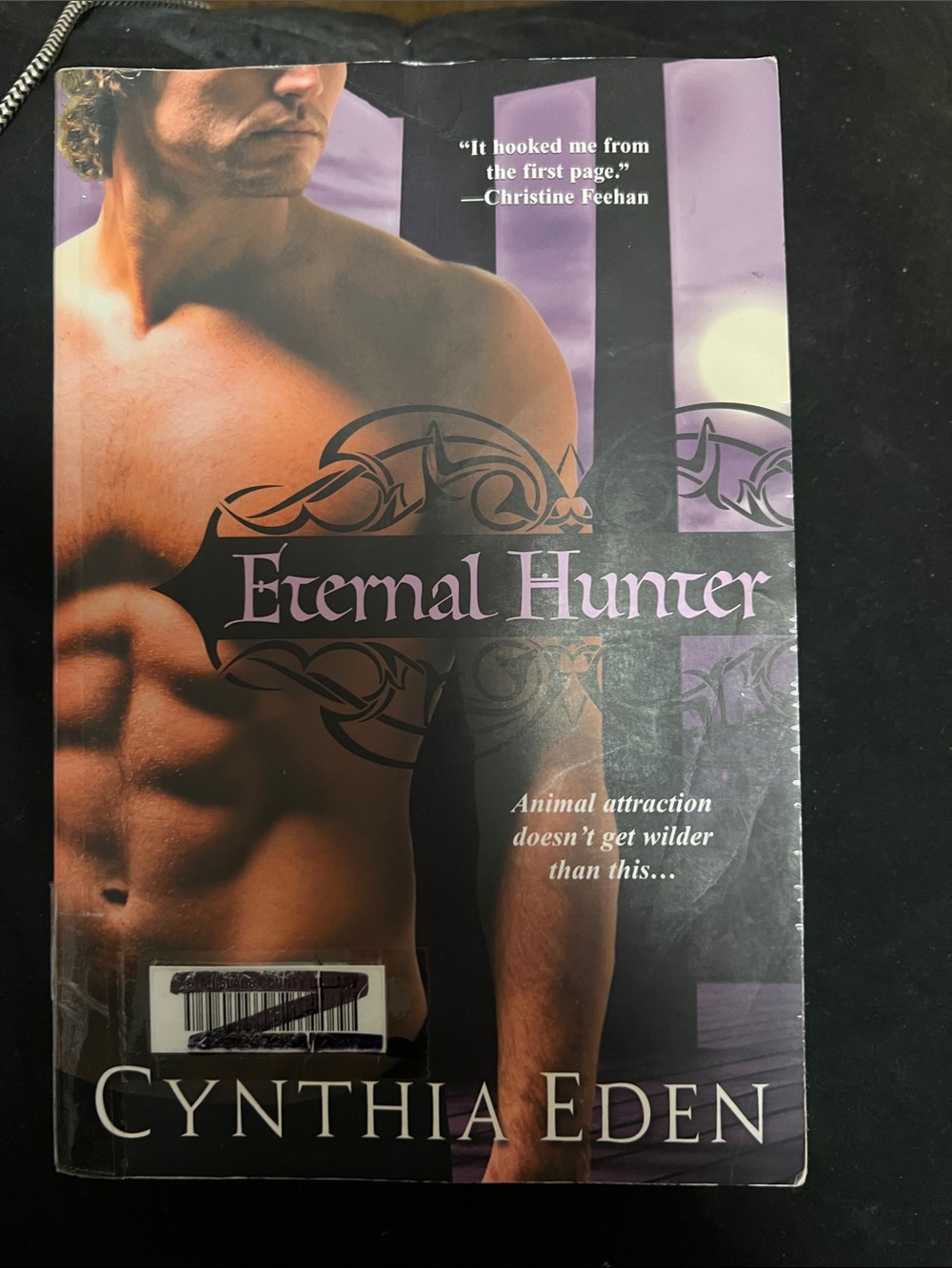 Eternal Hunter - Purple Cover Romance Paperback